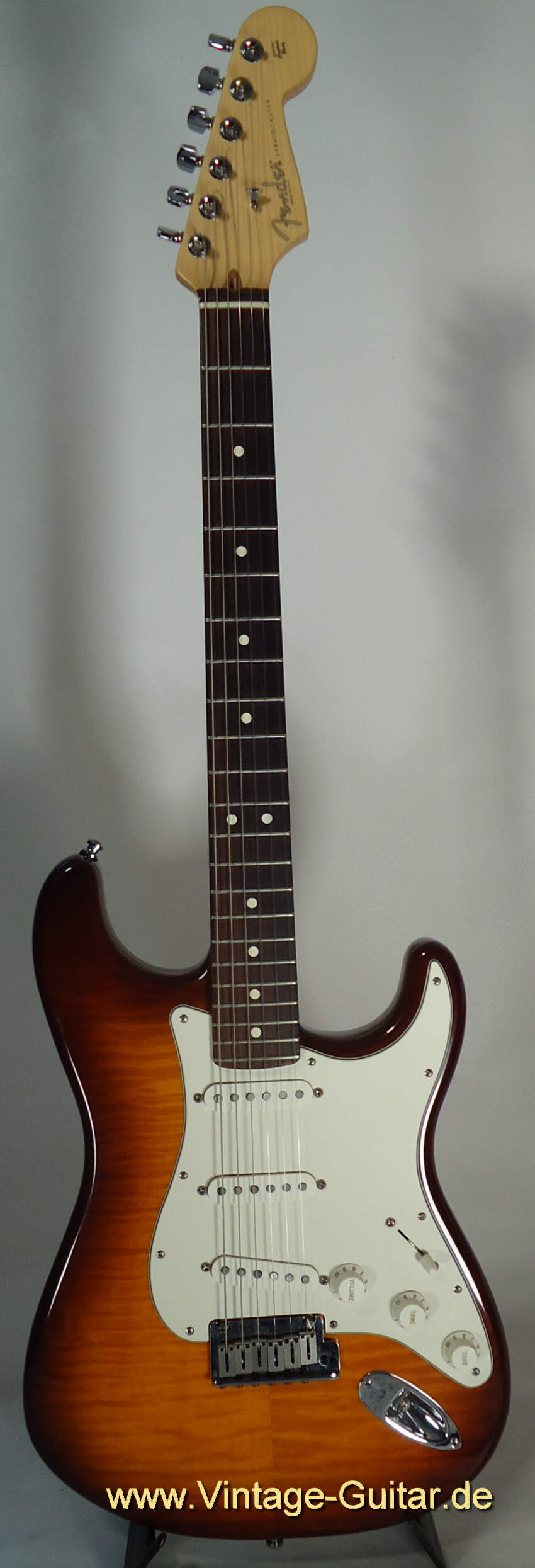 Fender Stratocaster Special Edition 1.jpg